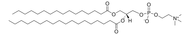 Hydro Egg PC L-&#945;-phosphatidylcholine, hydrogenated (Egg, Chicken), powder