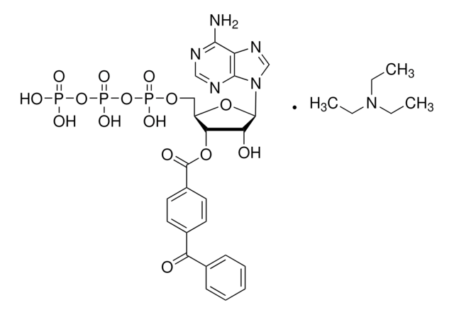 2&#8242;(3&#8242;)-O-(4-benzoilbenzoil)adenosina 5&#8242;-trifosfato &#8805;93%