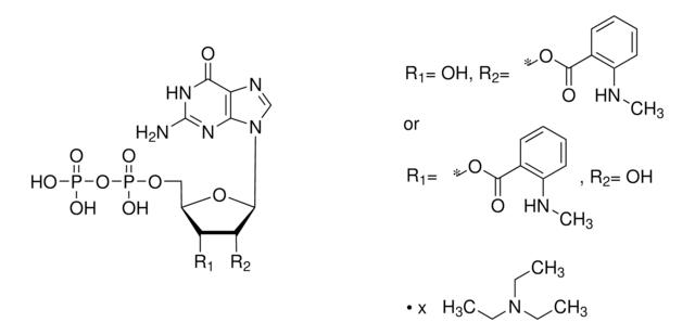 Mant-GDP -triethylammonium (Salz) -Lösung &#8805;95.0% (HPLC)