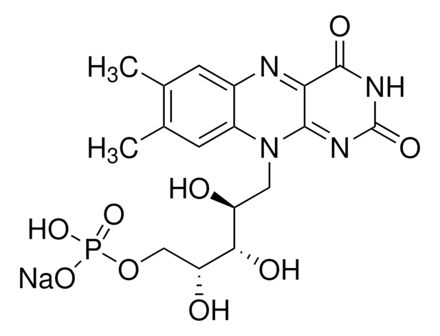 Riboflavin-Natriumphosphat-Hydrat tested according to Ph. Eur.