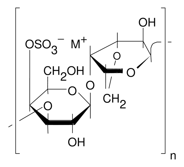 &#954;--卡拉胶 sulfated plant polysaccharide