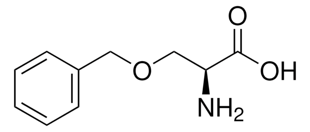 O-Benzyl-L-serine &#8805;99.0% (NT)