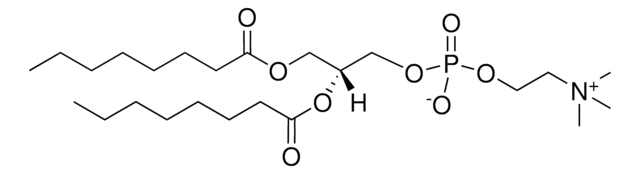 08:0 PC 1,2-dioctanoyl-sn-glycero-3-phosphocholine, powder