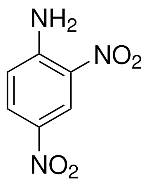 2,4-Dinitroanilin 98%