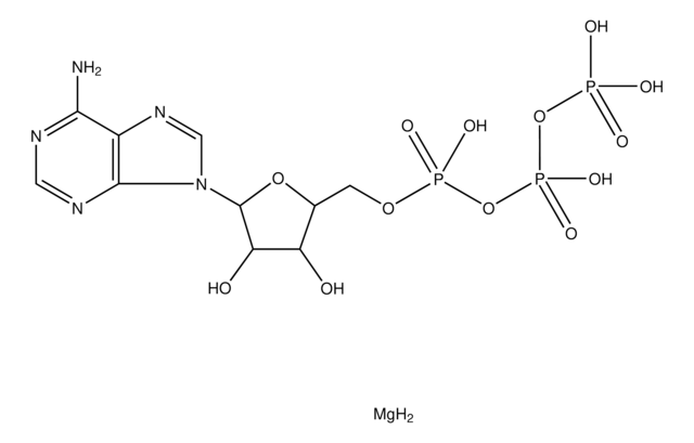 アデノシン 5&#8242;-三リン酸 マグネシウム塩 &#8805;95%, bacterial