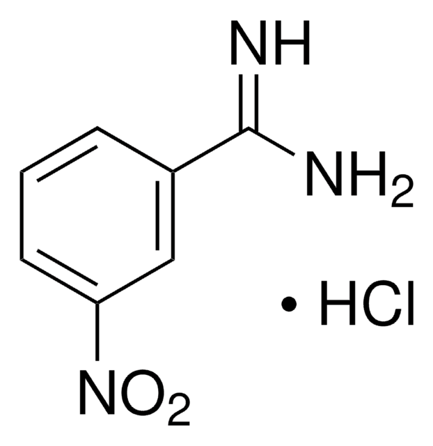 3-硝基苯甲脒 盐酸盐 95%