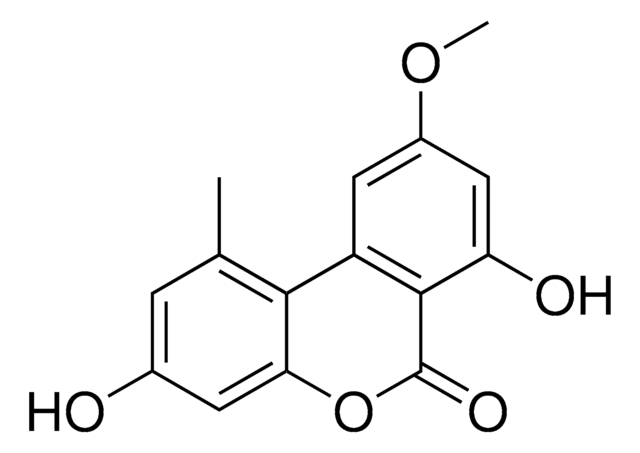 アルテルナリオール モノメチル エーテル Alternaria alternata (tenuis)由来