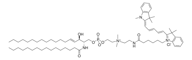 C16 Cy5 SM chloroform solution, Avanti Research&#8482; - A Croda Brand