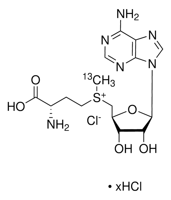 S-(5’-腺苷)-L-甲硫氨酸-(S-甲基-13C)氯盐 &#8805;99 atom % (13C), &#8805;90% (CP)