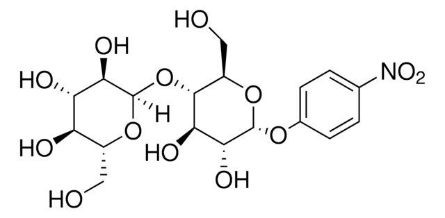 4-ニトロフェニル &#945;-D-マルトシド glycosidase substrate