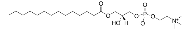 14:0 リゾPC 1-myristoyl-2-hydroxy-sn-glycero-3-phosphocholine, powder