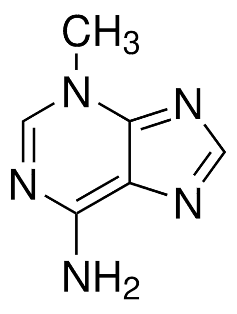 3-メチルアデニン autophagy inhibitor