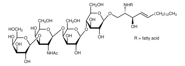 アシアロガングリオシドGM1 ウシ脳由来 ~98%, lyophilized powder