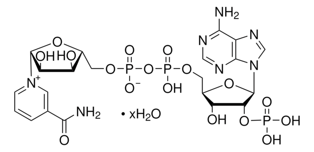 &#946;&#946;-Nicotinamida adenina dinucleótido fosfato hydrate