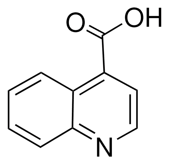 4-Chinolincarbonsäure 97%