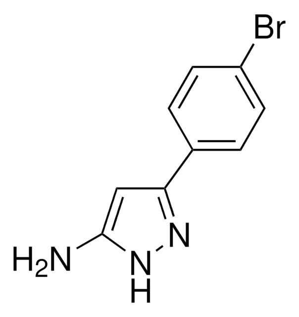 5-Amino-3-(4-Bromophenyl)pyrazol 97%