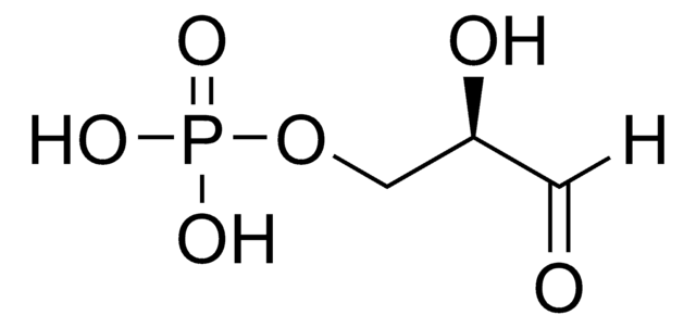 D-Glyceraldehyd-3-phosphat -Lösung 8-13&#160;mg/mL in H2O