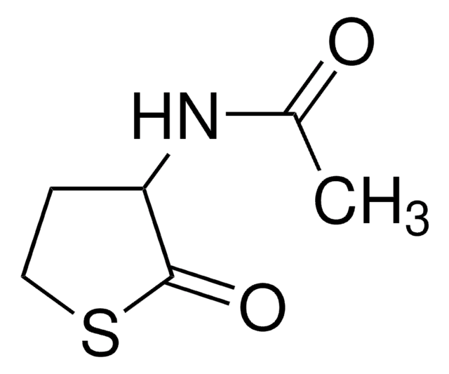 DL-N-Acetylhomocysteine thiolactone 98%