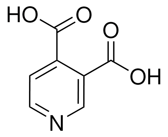 3,4-Pyridindicarboxylsäure 97%