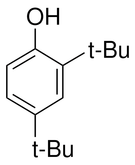 2,4-Di-tert.-butylphenol 99%