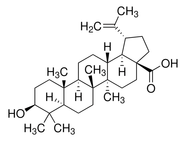 白桦脂酸 analytical standard