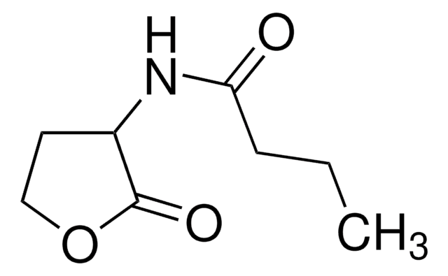 N-ブチリル-DL-ホモセリンラクトン &#8805;96.0% (HPLC)