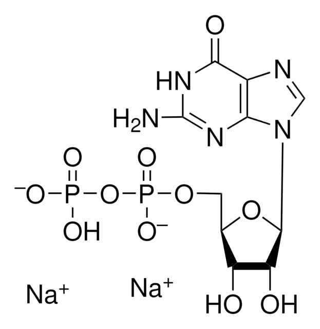 Guanosin-5&#8242;-diphosphat Dinatriumsalz &#8805;90% (HPLC)