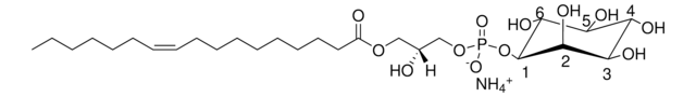 17:1リゾPI 1-(10Z-heptadecenoyl)-2-hydroxy-sn-glycero-3-phospho-(1&#8242;-myo-inositol) (ammonium salt), powder