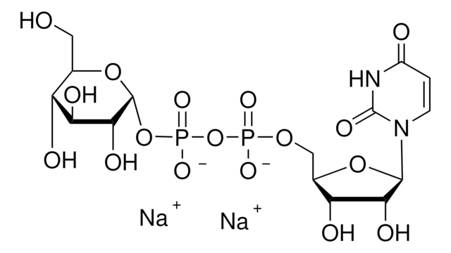 Uridin-5&#8242;-diphosphoglucose Dinatriumsalz &#8805;98.0% (HPLC)