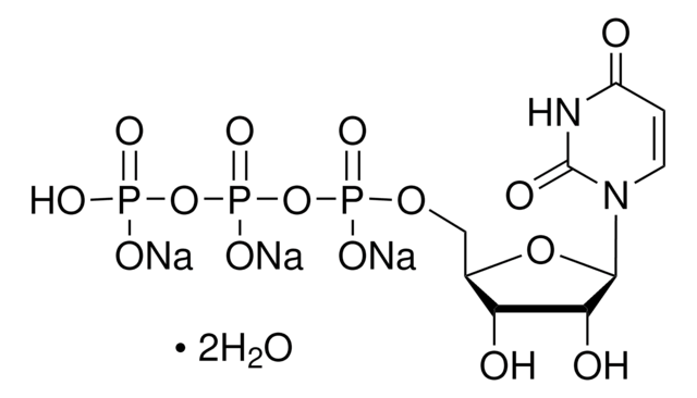 Uridin-5&#8242;-triphosphat Trinatriumsalz Dihydrat &#8805;80%