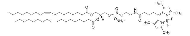 18:1 10399 PE 1,2-dioleoyl-sn-glycero-3-phosphoethanolamine-N-[(dipyrromethaneboron difluoride)butanoyl], powder