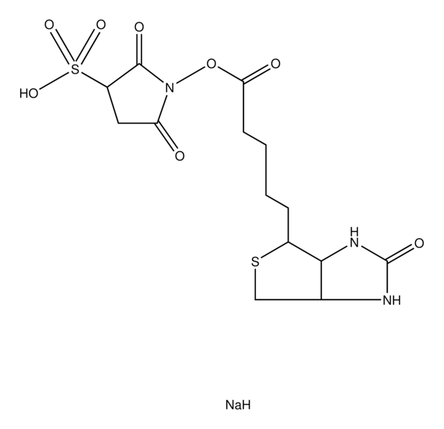 ビオチン 3-スルホ-N-ヒドロキシスクシンイミドエステル ナトリウム塩 &#8805;90% (TLC), powder