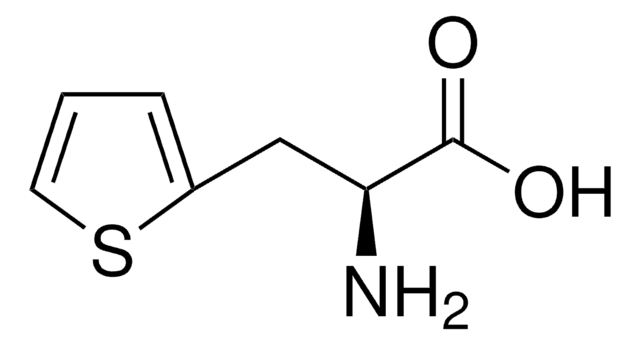 3-(2-Thienyl)-L-alanin &#8805;98.0% (TLC)