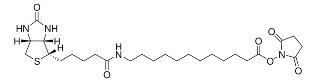 12:0 N-Biotinyl fatty acid, NHS Avanti Polar Lipids, 12N-biotinyl dodecanoic acid, NHS ester, powder