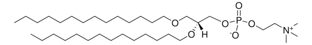 14:0 Diether PC Avanti Research&#8482; - A Croda Brand 999993P, powder