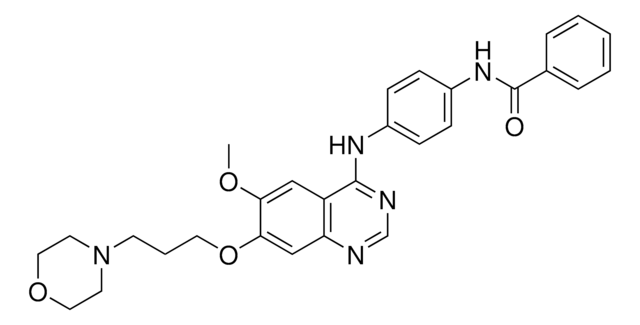 Aurora-Kinase-Inhibitor&nbsp;VI, ZM447439 The Aurora Kinase Inhibitor VI, ZM447439, also referenced under CAS 331771-20-1, controls the biological activity of Aurora Kinase. This small molecule/inhibitor is primarily used for Phosphorylation &amp; Dephosphorylation applications.