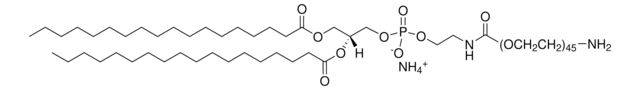 DSPE-PEG(2000) Amine Avanti Research&#8482; - A Croda Brand