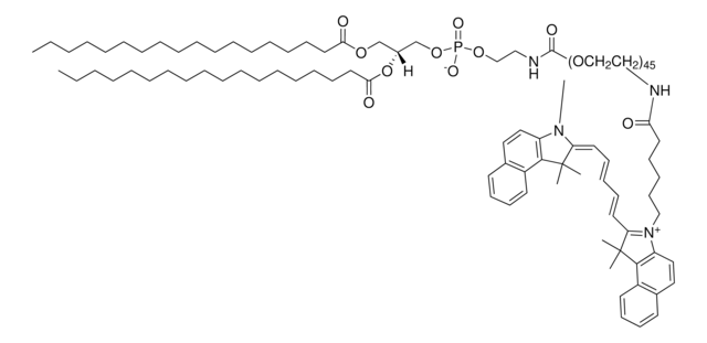 DOPE PEG(2000)-N-Cyanine 5.5 Avanti Research&#8482; - A Croda Brand