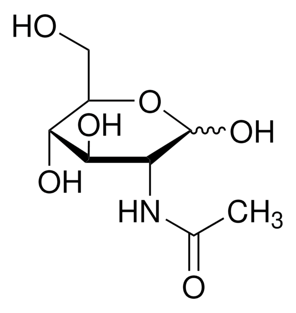 N-Acétyl-D-glucosamine &#8805;99% (HPLC)