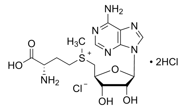 O cloreto de S-(5&#8242;-adenosil)-L-metionina &#8805;75%