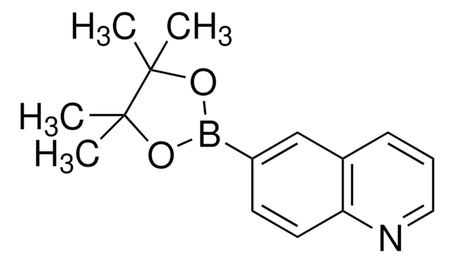 6-Chinolinboronsäurepinakolester 97%