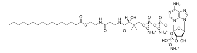 16：0辅酶A Avanti Research&#8482; - A Croda Brand 870716P, powder