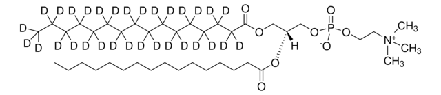 16:0-d31-16:0 PC Avanti Research&#8482; - A Croda Brand, powder