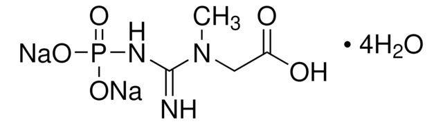 Fosfato sódico de creatina dibásico tetrahydrate &#8805;98.0% (NT)