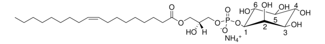 18:1リゾPI 1-oleoyl-2-hydroxy-sn-glycero-3-phospho-(1&#8242;-myo-inositol) (ammonium salt), powder