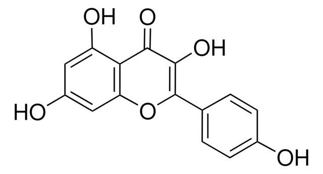 Kaempferol analytical standard