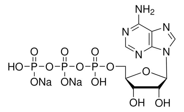 Adenosin-5&#8242;-triphosphat Dinatriumsalz -Lösung Crystalline ATP, HPLC purified, aqueous solution for RNA transcription