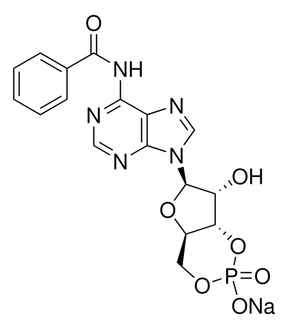 6-Bnz-cAMP sodium salt &#8805;98% (HPLC)