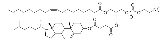 OChemsPC Avanti Research&#8482; - A Croda Brand 880344P, powder