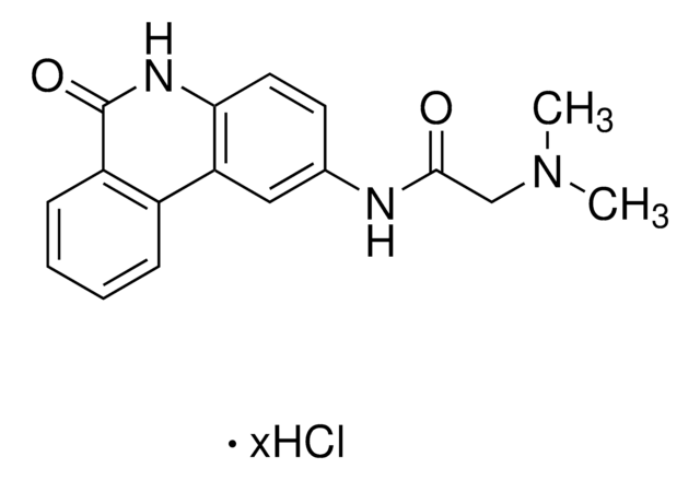 PARP-Inhibitor&nbsp;VIII, PJ34 InSolution, &#8805;98%